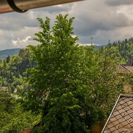 Travellers' Haven Hostal