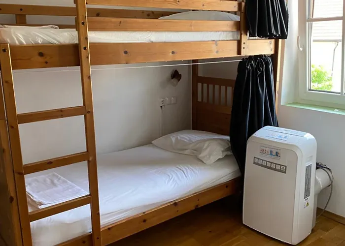 호스텔 Travellers' Haven